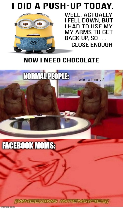 no | where funny? NORMAL PEOPLE:; FACEBOOK MOMS: | image tagged in where monkey | made w/ Imgflip meme maker