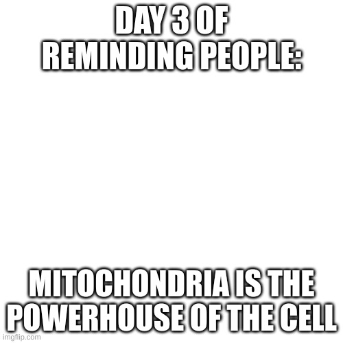 day 3 | DAY 3 OF REMINDING PEOPLE:; MITOCHONDRIA IS THE POWERHOUSE OF THE CELL | image tagged in memes,blank transparent square | made w/ Imgflip meme maker