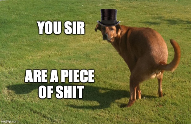 Dog Pooping | YOU SIR; ARE A PIECE 
OF SHIT | image tagged in dog pooping | made w/ Imgflip meme maker