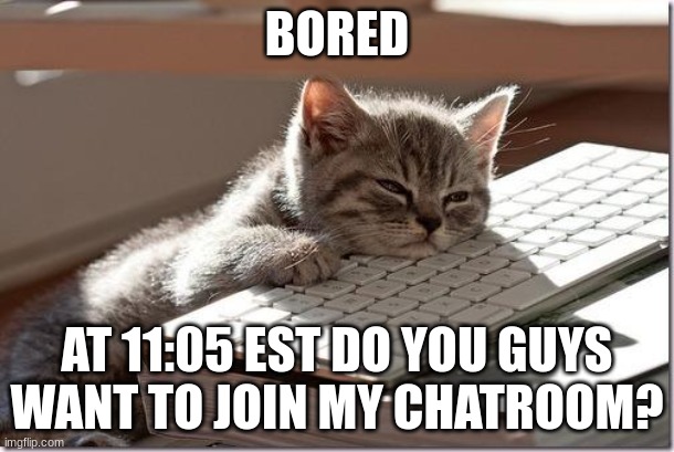 I will give a link soon, but I just wanna know | BORED; AT 11:05 EST DO YOU GUYS WANT TO JOIN MY CHATROOM? | image tagged in bored keyboard cat,chatroom,sunrise question | made w/ Imgflip meme maker