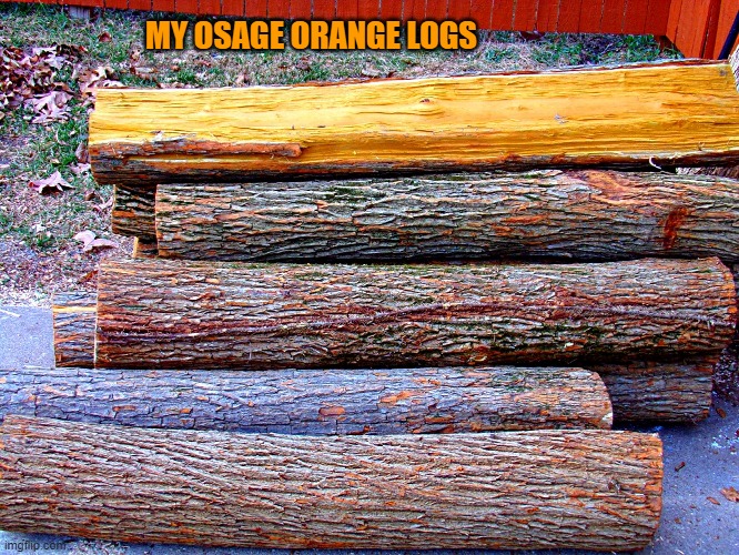 These are the logs I build my longbows with. | MY OSAGE ORANGE LOGS | image tagged in longbows,osage orange,kewlew | made w/ Imgflip meme maker