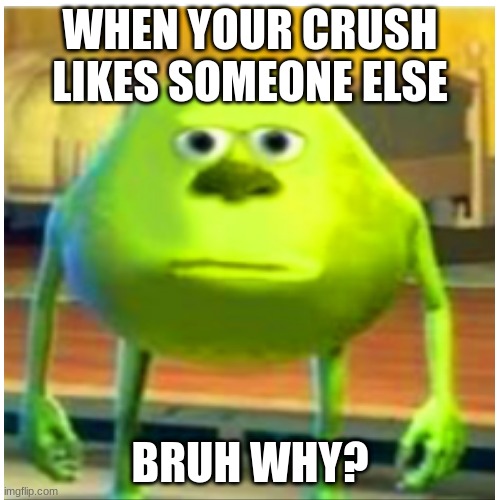 Painful | WHEN YOUR CRUSH LIKES SOMEONE ELSE; BRUH WHY? | image tagged in funny memes,painful | made w/ Imgflip meme maker