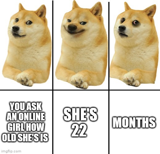 Doge happy sad | YOU ASK AN ONLINE GIRL HOW OLD SHE'S IS; SHE'S 22; MONTHS | image tagged in doge happy sad | made w/ Imgflip meme maker