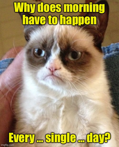 Grumpy Cat | Why does morning
have to happen; Every … single … day? | image tagged in memes,grumpy cat,mornings | made w/ Imgflip meme maker