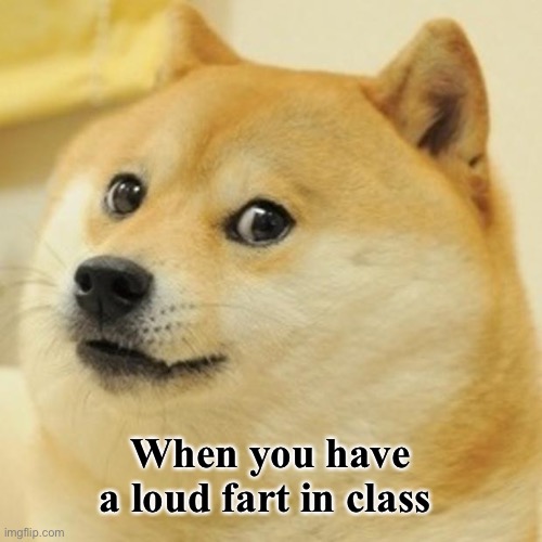 When you fart in class | When you have a loud fart in class | image tagged in memes,doge | made w/ Imgflip meme maker