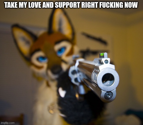 Furry with gun | TAKE MY LOVE AND SUPPORT RIGHT FUCKING NOW | image tagged in furry with gun | made w/ Imgflip meme maker