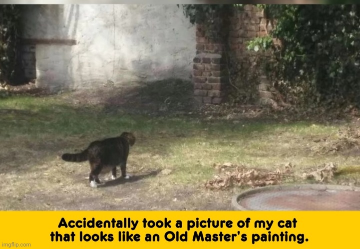 image tagged in funny memes | made w/ Imgflip meme maker