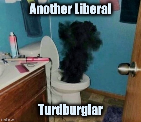 Turdburglar | Another Liberal Turdburglar | image tagged in turdburglar | made w/ Imgflip meme maker