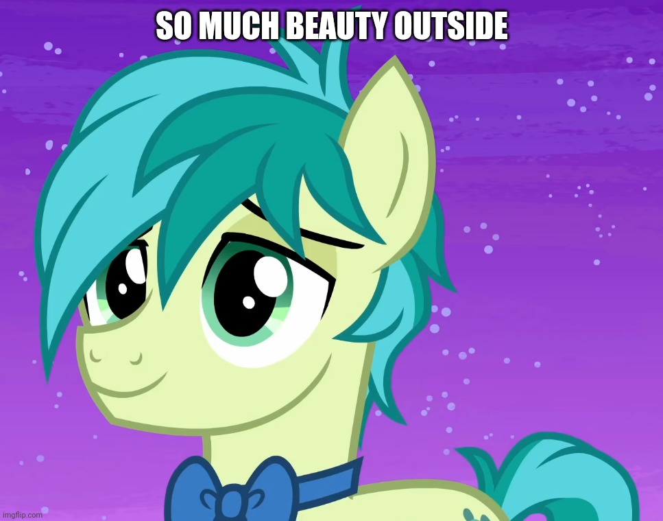 Happy Sandbar (MLP) | SO MUCH BEAUTY OUTSIDE | image tagged in happy sandbar mlp | made w/ Imgflip meme maker