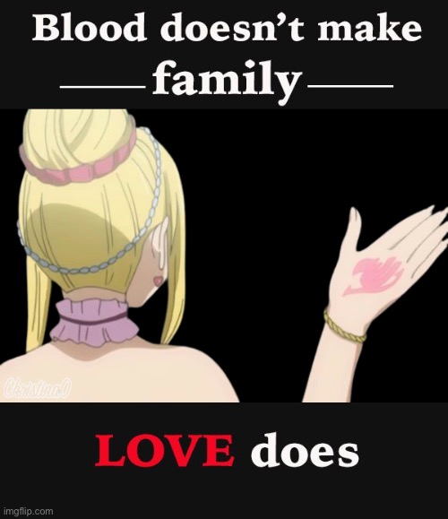 Fairy Tail Family | image tagged in fairy tail,fairy tail guild,anime,family,quotes,lucy heartfilia | made w/ Imgflip meme maker