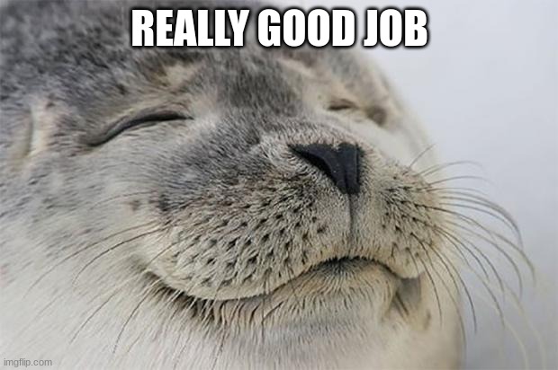 Satisfied Seal Meme | REALLY GOOD JOB | image tagged in memes,satisfied seal | made w/ Imgflip meme maker