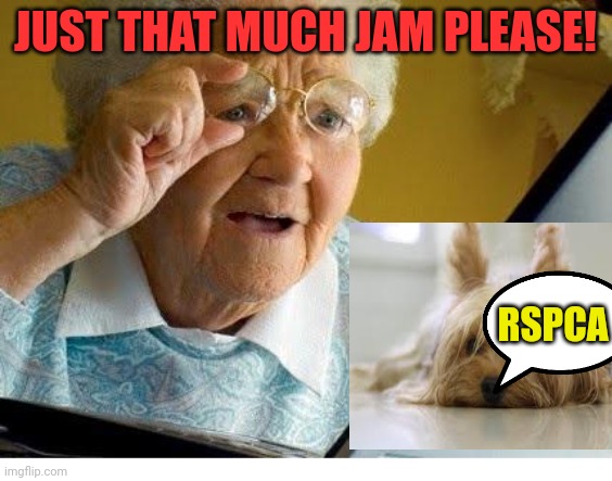 old lady at computer | JUST THAT MUCH JAM PLEASE! RSPCA | image tagged in old lady at computer | made w/ Imgflip meme maker