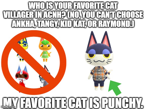 If I hear anything lewd about any of the cat villagers, I'm flagging your *ss. | WHO IS YOUR FAVORITE CAT VILLAGER IN ACNH? (NO, YOU CAN'T CHOOSE ANKHA, TANGY, KID KAT, OR RAYMOND.); MY FAVORITE CAT IS PUNCHY. | image tagged in animal crossing,question | made w/ Imgflip meme maker