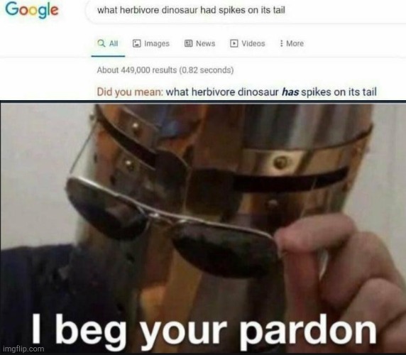 you can call me a grammar nazi |  I beg your pardon | image tagged in i beg your pardon,grammar nazi,google search | made w/ Imgflip meme maker