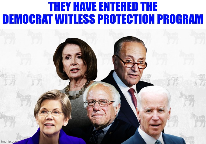 THEY HAVE ENTERED THE DEMOCRAT WITLESS PROTECTION PROGRAM | made w/ Imgflip meme maker