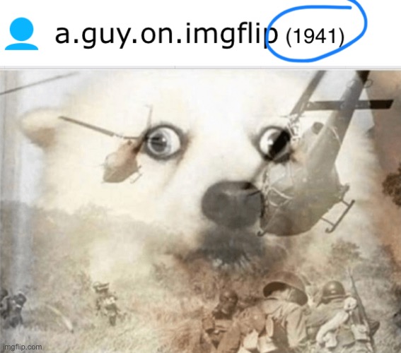 history meme I guess | image tagged in ptsd dog | made w/ Imgflip meme maker