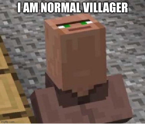 meow | I AM NORMAL VILLAGER | image tagged in minecraft villager looking up | made w/ Imgflip meme maker