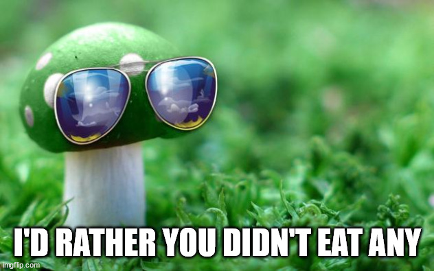Deal With it Mushroom | I'D RATHER YOU DIDN'T EAT ANY | image tagged in deal with it mushroom | made w/ Imgflip meme maker