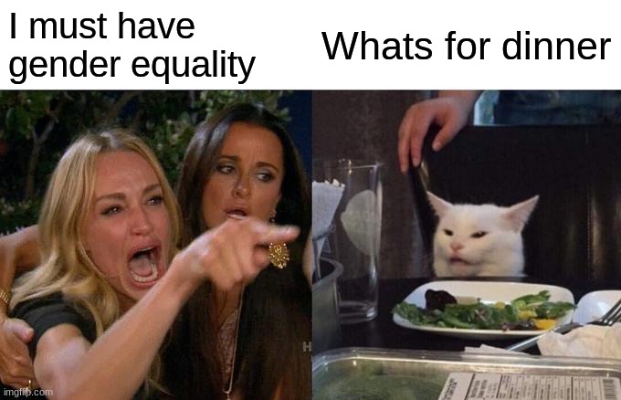 Woman Yelling At Cat Meme | I must have gender equality Whats for dinner | image tagged in memes,woman yelling at cat | made w/ Imgflip meme maker