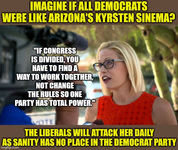 While its nice to see moderate sane Democrats, we know that party is a lost cause. Still "A" for effort Senator Sinema | IMAGINE IF ALL DEMOCRATS WERE LIKE ARIZONA'S KYRSTEN SINEMA? "IF CONGRESS IS DIVIDED, YOU HAVE TO FIND A WAY TO WORK TOGETHER, NOT CHANGE THE RULES SO ONE PARTY HAS TOTAL POWER."; THE LIBERALS WILL ATTACK HER DAILY AS SANITY HAS NO PLACE IN THE DEMOCRAT PARTY | image tagged in kyrsten sinema constituent appeal,modern problems require modern solutions,inspirational,lost in translation,democrats | made w/ Imgflip meme maker