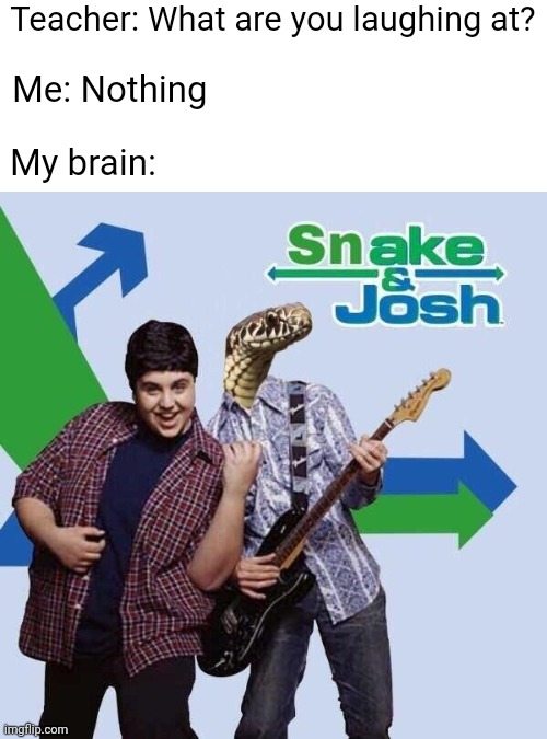 It's gonna take some time to animalize | Teacher: What are you laughing at? Me: Nothing; My brain: | image tagged in teacher what are you laughing at,drake and josh,snake,snake puns | made w/ Imgflip meme maker