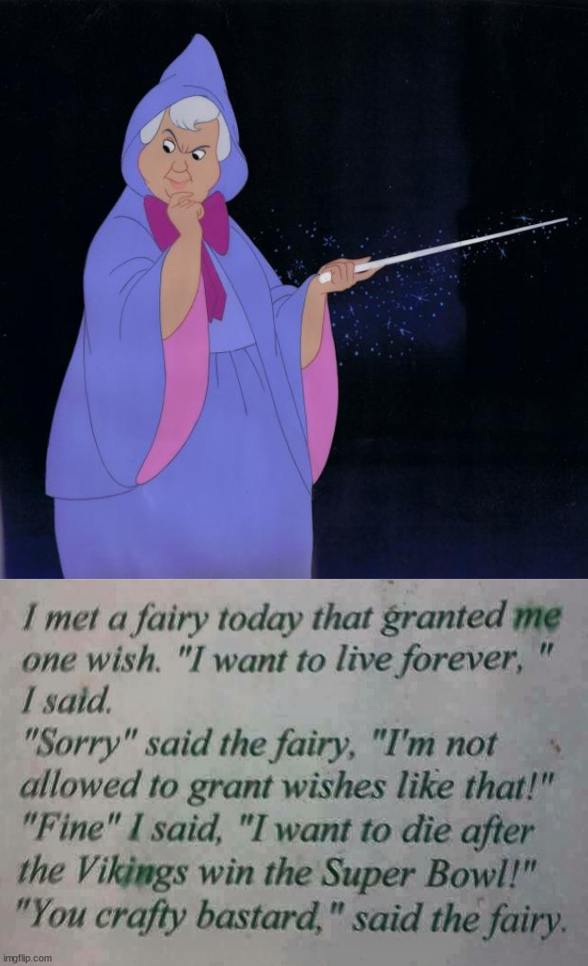 How to live forever. | image tagged in fairy godmother,sports,vikings | made w/ Imgflip meme maker