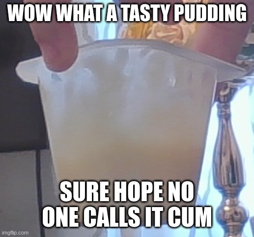WOW WHAT A TASTY PUDDING; SURE HOPE NO ONE CALLS IT CUM | made w/ Imgflip meme maker