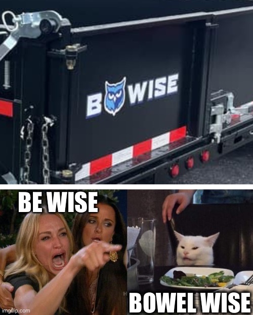 I Finally Discovered Meme | BE WISE; BOWEL WISE | image tagged in memes,woman yelling at cat,funny,bad puns,terrible puns | made w/ Imgflip meme maker