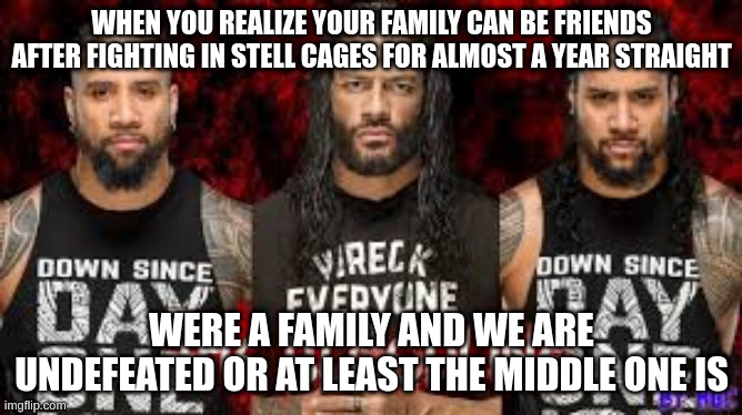 family issues | WHEN YOU REALIZE YOUR FAMILY CAN BE FRIENDS AFTER FIGHTING IN STELL CAGES FOR ALMOST A YEAR STRAIGHT; WERE A FAMILY AND WE ARE UNDEFEATED OR AT LEAST THE MIDDLE ONE IS | image tagged in family life | made w/ Imgflip meme maker