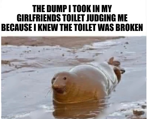 THE DUMP I TOOK IN MY GIRLFRIENDS TOILET JUDGING ME BECAUSE I KNEW THE TOILET WAS BROKEN | image tagged in floater,broken toilet,judgement,turd | made w/ Imgflip meme maker
