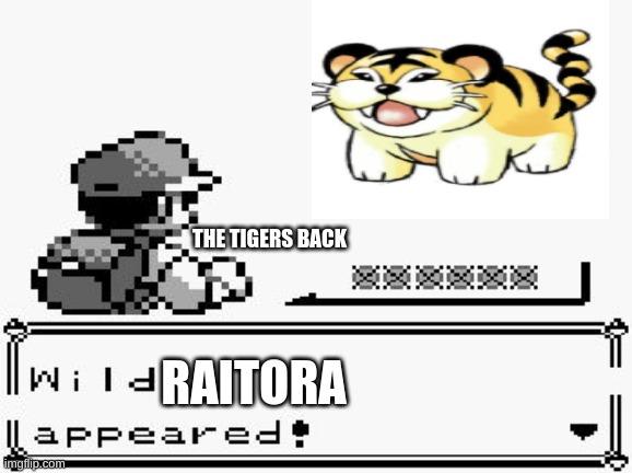 pokemon appears | THE TIGERS BACK; RAITORA | image tagged in pokemon appears | made w/ Imgflip meme maker