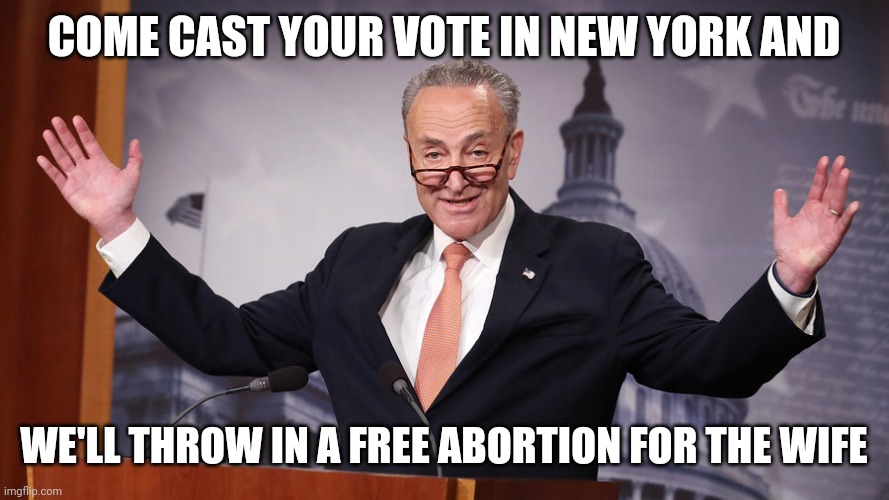 Chuck Schumer | COME CAST YOUR VOTE IN NEW YORK AND WE'LL THROW IN A FREE ABORTION FOR THE WIFE | image tagged in chuck schumer | made w/ Imgflip meme maker