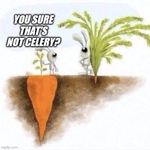 Big Carrot Small Carrot | YOU SURE THAT'S NOT CELERY? | image tagged in big carrot small carrot | made w/ Imgflip meme maker