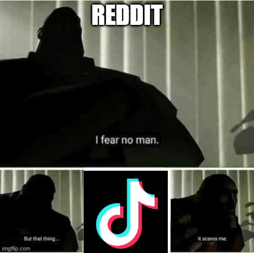 WTF | REDDIT | image tagged in i fear no man,tiktok,reddit | made w/ Imgflip meme maker