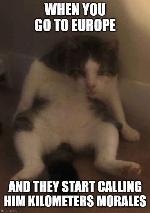 Lazy cat | WHEN YOU GO TO EUROPE; AND THEY START CALLING HIM KILOMETERS MORALES | image tagged in lazy cat | made w/ Imgflip meme maker