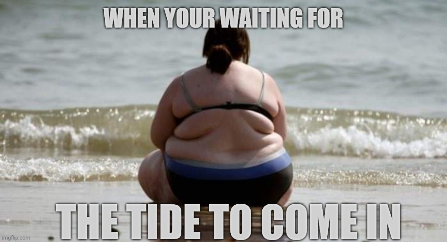 Overweight Girl Big Lives Matter | WHEN YOUR WAITING FOR; THE TIDE TO COME IN | image tagged in memes,big bird,bikini | made w/ Imgflip meme maker