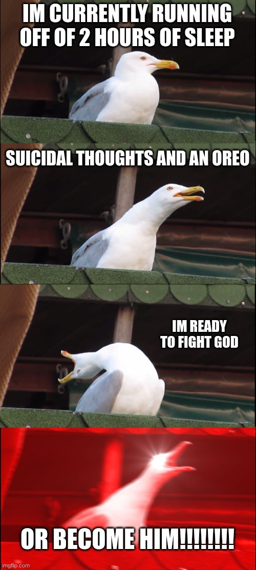 Inhaling Seagull | IM CURRENTLY RUNNING OFF OF 2 HOURS OF SLEEP; SUICIDAL THOUGHTS AND AN OREO; IM READY TO FIGHT GOD; OR BECOME HIM!!!!!!!! | image tagged in memes,inhaling seagull | made w/ Imgflip meme maker