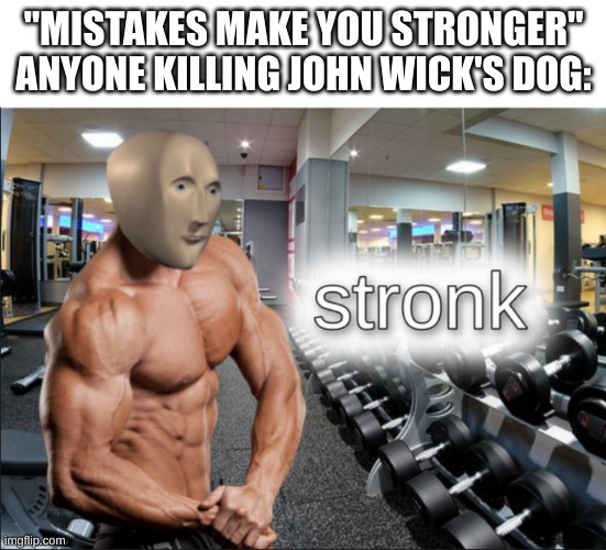 stronks | "MISTAKES MAKE YOU STRONGER"
ANYONE KILLING JOHN WICK'S DOG: | image tagged in stronks | made w/ Imgflip meme maker