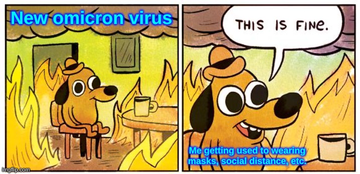 This Is Fine Meme | New omicron virus; Me getting used to wearing masks, social distance, etc. | image tagged in fun,covid-19,this is fine | made w/ Imgflip meme maker