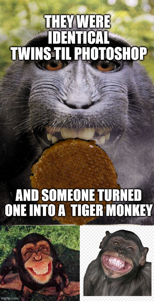 THEY WERE  IDENTICAL TWINS TIL PHOTOSHOP AND SOMEONE TURNED ONE INTO A  TIGER MONKEY | made w/ Imgflip meme maker