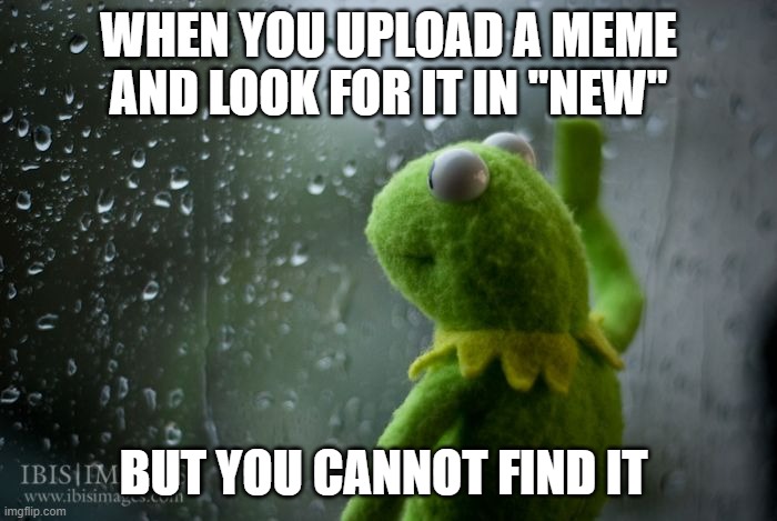 Kermy understands me pain | WHEN YOU UPLOAD A MEME AND LOOK FOR IT IN "NEW"; BUT YOU CANNOT FIND IT | image tagged in kermit window,sad,depression,imgflip,meanwhile on imgflip,kermit the frog | made w/ Imgflip meme maker