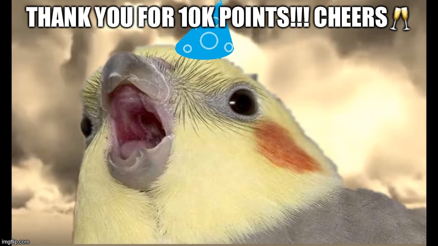Birbday Birb | THANK YOU FOR 10K POINTS!!! CHEERS🥂 | image tagged in birbday birb | made w/ Imgflip meme maker