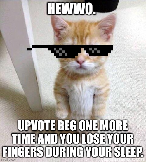nah nah nah...nah nah nah NAH...HEY HEY hayyyyyy....goodBYE! | HEWWO. UPVOTE BEG ONE MORE TIME AND YOU LOSE YOUR FINGERS DURING YOUR SLEEP. | image tagged in memes,cute cat,funny,but upvote begging is not funny | made w/ Imgflip meme maker