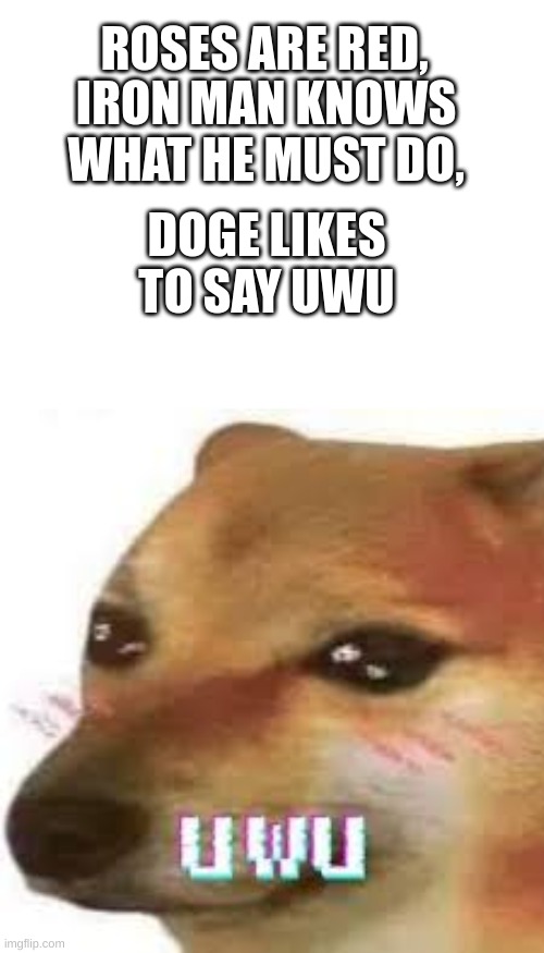 uwu :) | ROSES ARE RED, IRON MAN KNOWS WHAT HE MUST DO, DOGE LIKES TO SAY UWU | image tagged in uwu cheems lucidream,memes,fun,funny,uwu,owo | made w/ Imgflip meme maker