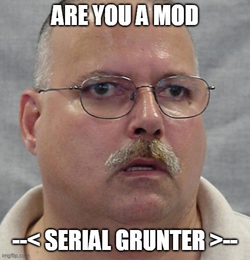 are you a wizard | ARE YOU A MOD; --< SERIAL GRUNTER >-- | image tagged in are you a wizard | made w/ Imgflip meme maker