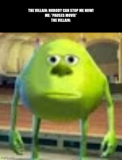 Sully Wazowski | THE VILLAIN: NOBODY CAN STOP ME NOW!
ME: *PAUSES MOVIE*
THE VILLAIN: | image tagged in sully wazowski | made w/ Imgflip meme maker