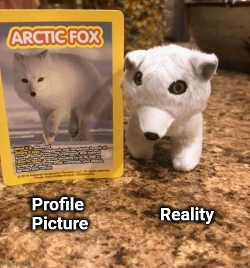 Totally looks like | Reality; Profile
     Picture | image tagged in they're the same picture,well yes but actually no,totally looks like | made w/ Imgflip meme maker