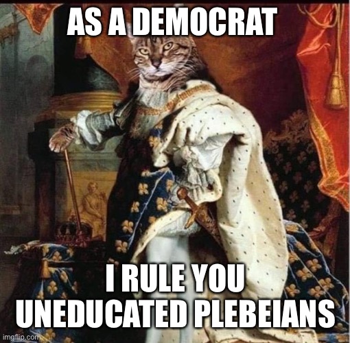 Democrats rule | AS A DEMOCRAT; I RULE YOU UNEDUCATED PLEBEIANS | image tagged in one does not simply,happy,fun | made w/ Imgflip meme maker