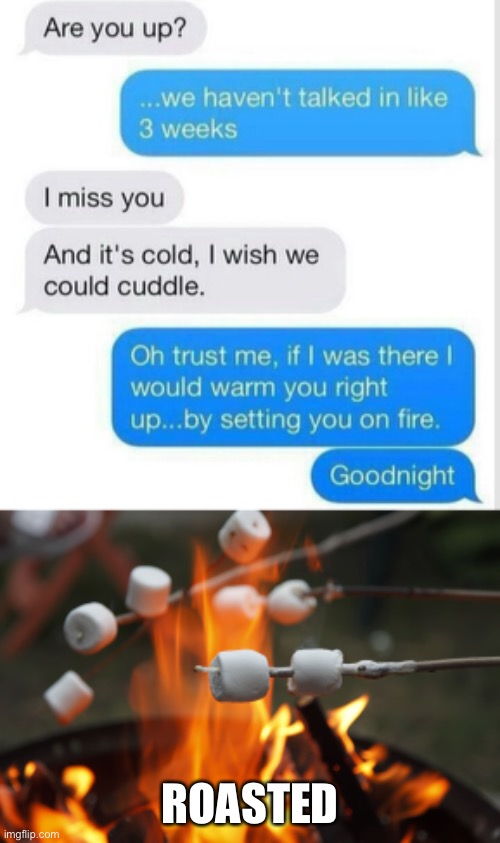 dang- | ROASTED | image tagged in roasting marshmellows,roasted,oof size large,savage,roast | made w/ Imgflip meme maker