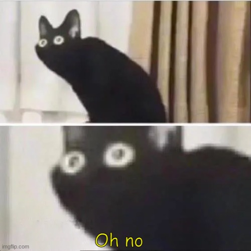 Oh no cat but with text | image tagged in oh no cat but with text | made w/ Imgflip meme maker